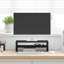 Mount