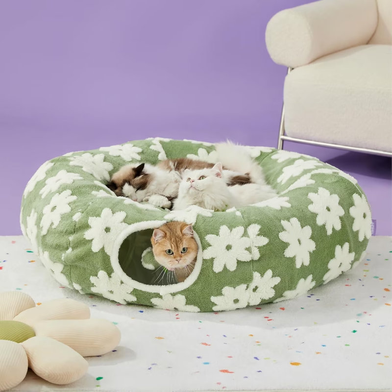 Lit pour chat Lesure, Grand (L 39,5 po x l 39,5 po), Green 