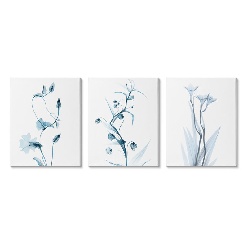 Aesthetic Minimalist Blue Botanical Floral Design par Albert Koetsier - Ensemble de 3 peintures, Toile tendue