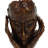 Jinyong People Figurines & Sculptures