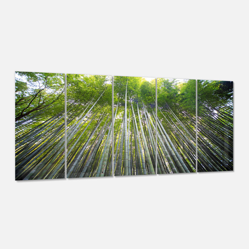 Forêt de bambous de Kyoto au Japon. «Multipanel Forest», reproduction d'art murale en métal
