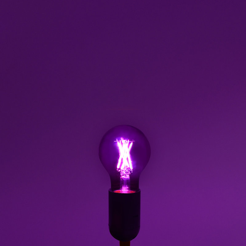 4,5 W (équivalent à 60 W), DEL A19, ampoule à intensité variable, culot moyen E26 (standard), Mauve