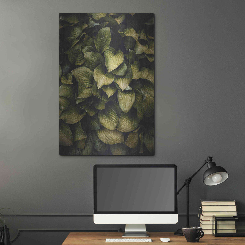 " Hostas Leaves " by Incado