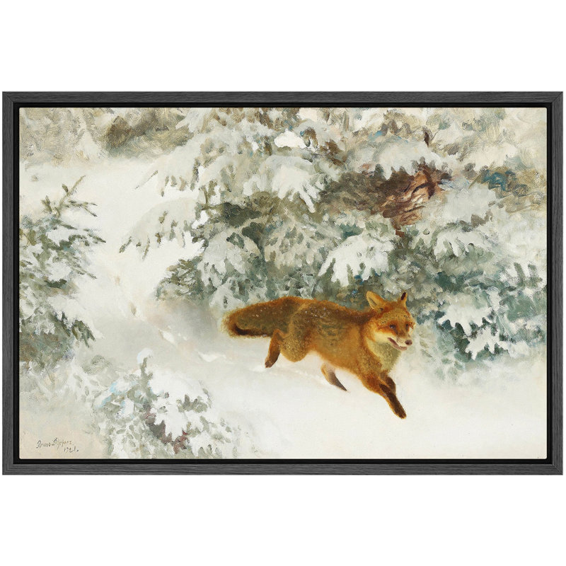 Courir, renard roux dans une forêt enneigée, œuvres d'art, impression sur toile encadrée, H 24 po x l 36 po