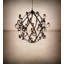 Caliope 34 - Light Chandelier
