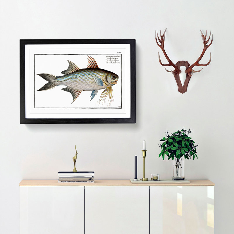 Fish of Paradise by M.E. Bloch - Picture Frame Graphic Art Print, 27cm H x 36cm W x 2cm D, Black Framed