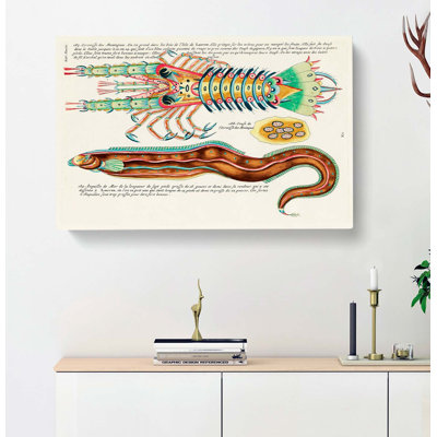 East Indies Fish & Lobster Illustrations XLV by Louis Renard - Wrapped Canvas