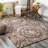 Oriental Indoor Rug-1576615309