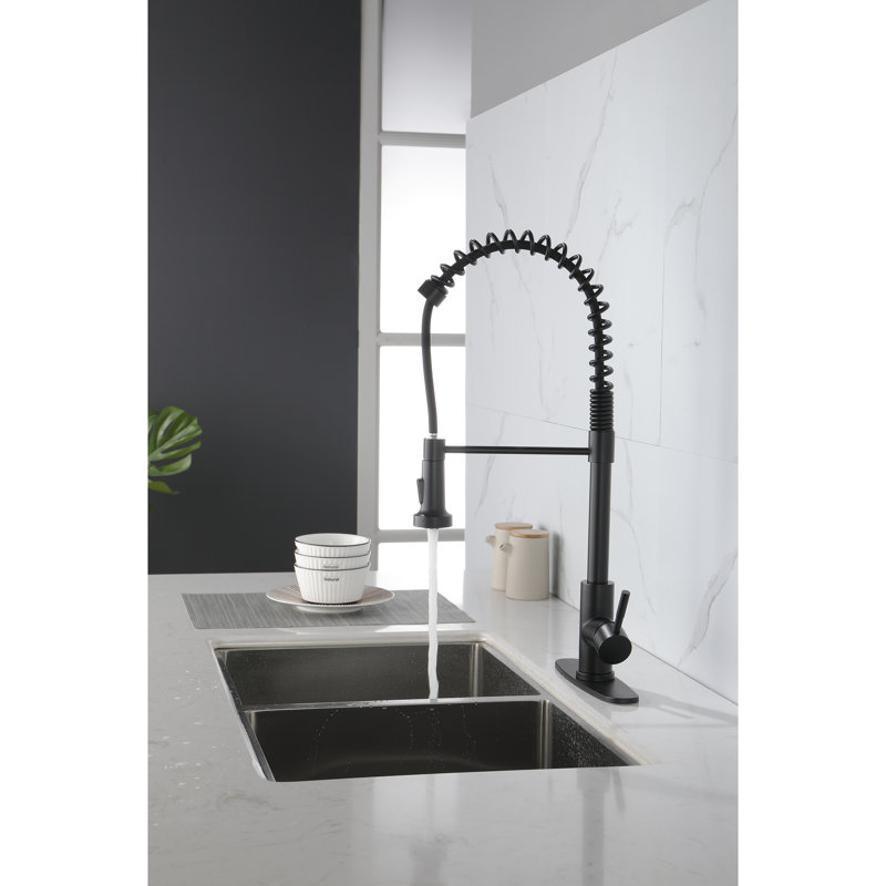 Robinet de cuisine commercial à ressort avec tirette noire matte, pratique en acier inoxydable pour bar à lessive Camper, conception polyvalente
