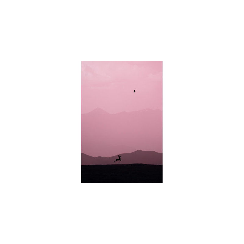 Wrapped Canvas Print, 50.8 cm H x 76.2 cm W