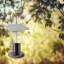 Pinecone Tube Bird Feeder-162049570