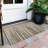  Machine Washable Indoor/Outdoor Chantille ACN996 Paprika Area Rug-1765863254