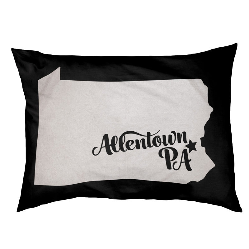 Coussin stylisé allentown de pennsylvanie, Grand (L 40 po x l 50 po), Violet