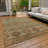 Machine Washable Indoor/Outdoor Claudian ACN1626 Beige Rug-104240180