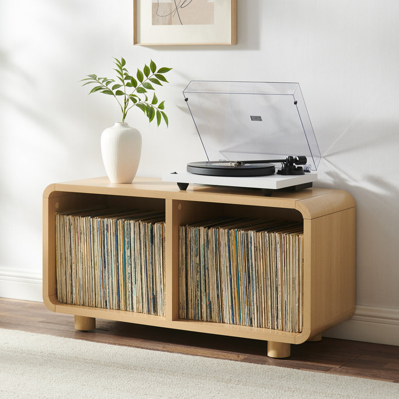 Luzerne Medium Record Storage Console | Ebern Designs