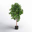 Faux Ficus Tree in Planter-1130419929