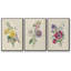 Bouquet de jardin antique I-91887324-91887325