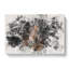 Brown Horse In The Shadows - Wrapped Canvas-56661276