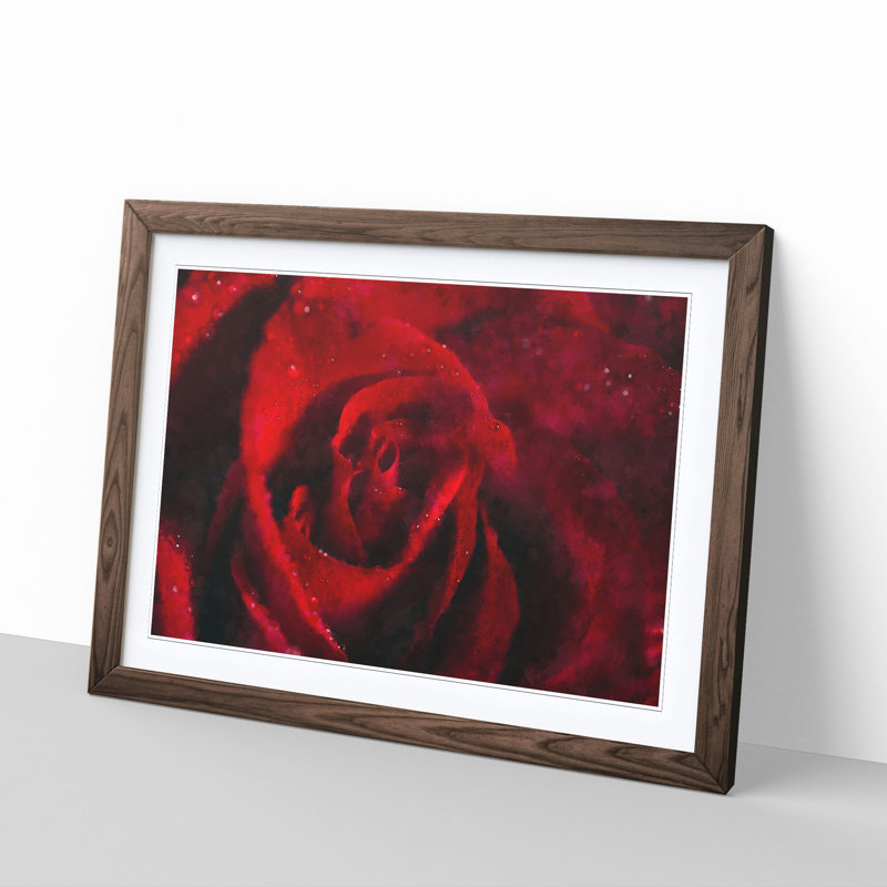 Drops upon a Red Rose - Picture Frame Graphic Art Print, Walnut Framed, 62cm H x 87cm W x 2cm D