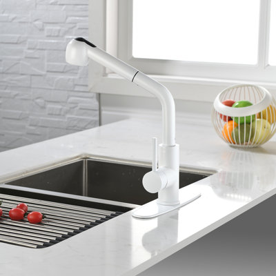 Fapully Pull Out Kitchen Faucet