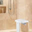 15.7'' W Plastic / Acrylic Shower Bench