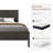 Shaurice Platform Bed-72445783-72445781