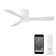 Hug 3 - Blade Smart Ceiling Fan with Remote Control and LED Light Kit Included
