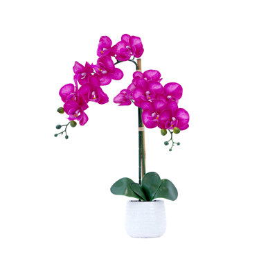 Arrangement floral Wynn