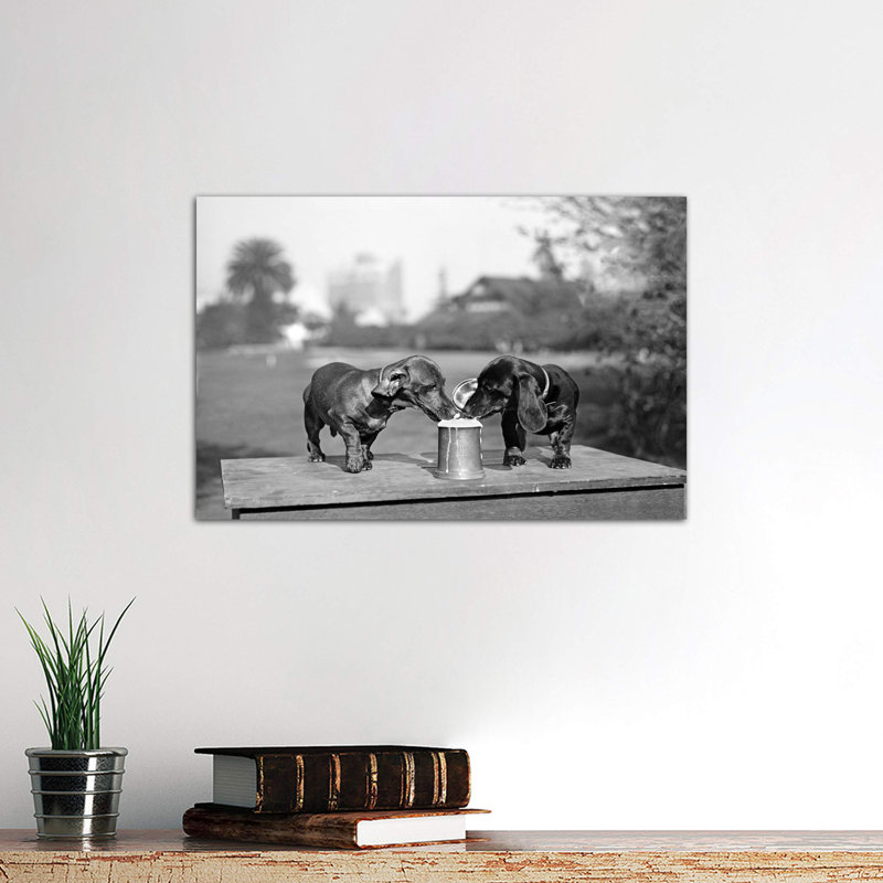 1890s Two Dachshund Puppies Lapping Beer From Stein by Vintage Images - Wrapped Canvas Print