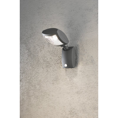 Anthracite Integrated LED Outdoor Armed Sconce