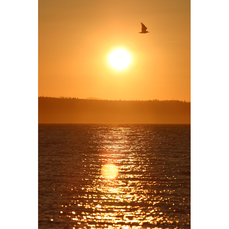 Just Wingin' It by Dimagemaker - Wrapped Canvas Print, 46cm H x 30cm W