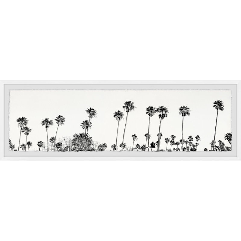 « palm trees collection »-cadre photo imprimé sur papier, H 15 po x l 45 po x P 1,5 po