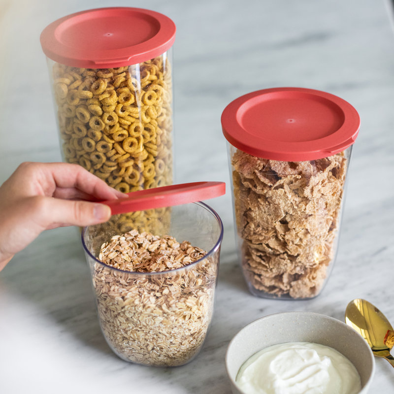 CONNECT 35ml Food Storage Container, Clear/Ash Grey