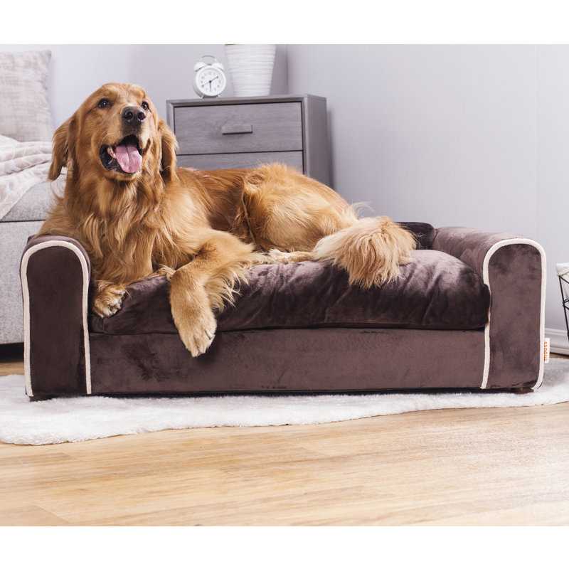 Canapé pour chien Kaskaskia, Grand (l 40 po x P 23 po x H 13 po), Chocolat