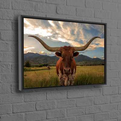 Impression sur toile de coton Texas