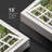 Window Scenery " Modern White Window Looking Out Into A Road With A Tunel Of Trees "-98449246