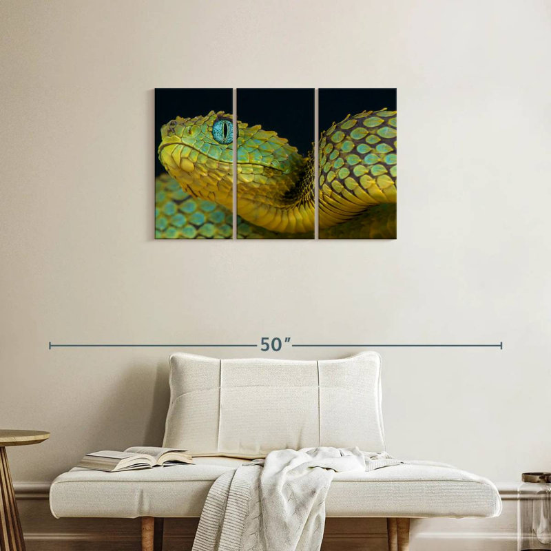 Brampt African Bush Viper, 20" H x 33" W