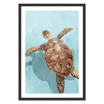 Tortue océanique II - reproduction de cadre photo
