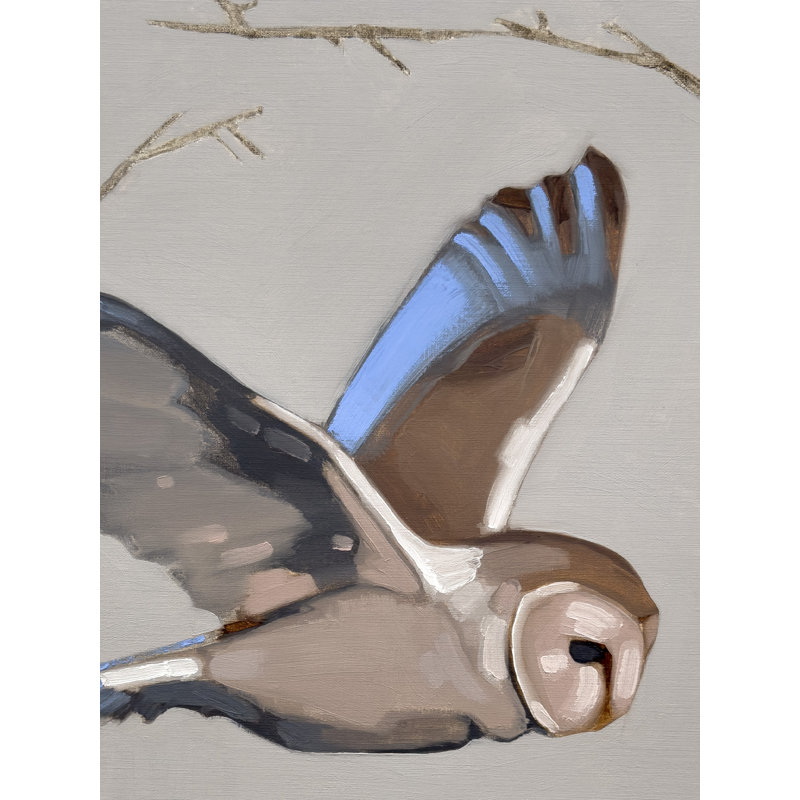 Parliament Of Owls No. 4
