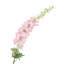 Brume artificielle Delphinium-1875799133