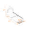 Lit plateforme tapissier arc-en-ciel avec tiroir-1754057490