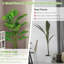60 plantes