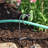 Plant-Saving Hose Guide