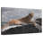 Brampt Alpine Hunter-108943583