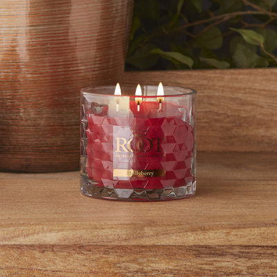 Hollyberry Scented Jar Candle