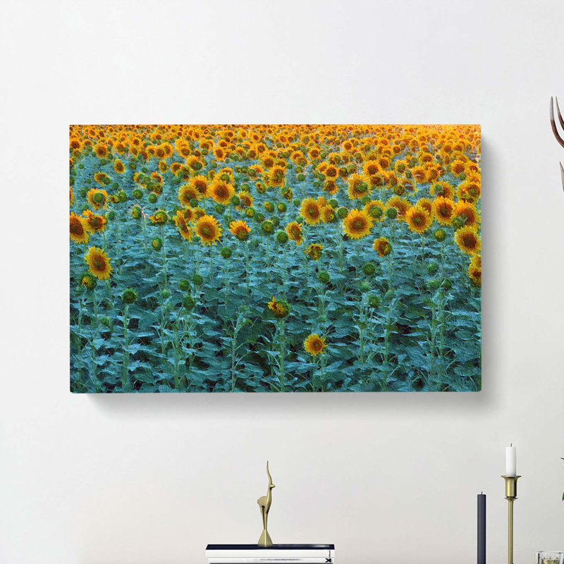 Sunflowers Soon To Bloom - Wrapped Canvas, 35cm H x 50cm W x 3cm D