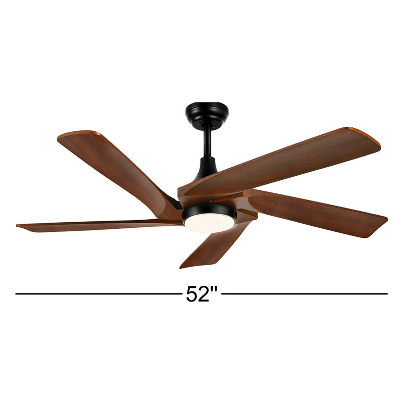 Eichen 52'' Ceiling Fan with LED Lights