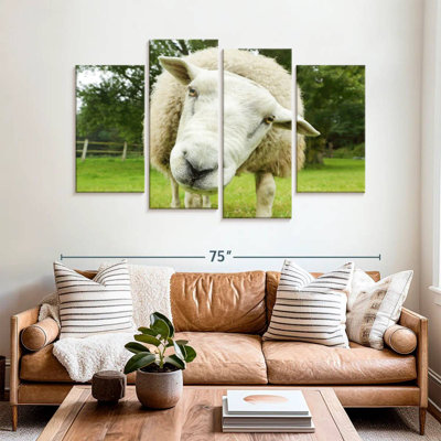Brampt Nosy Sheep