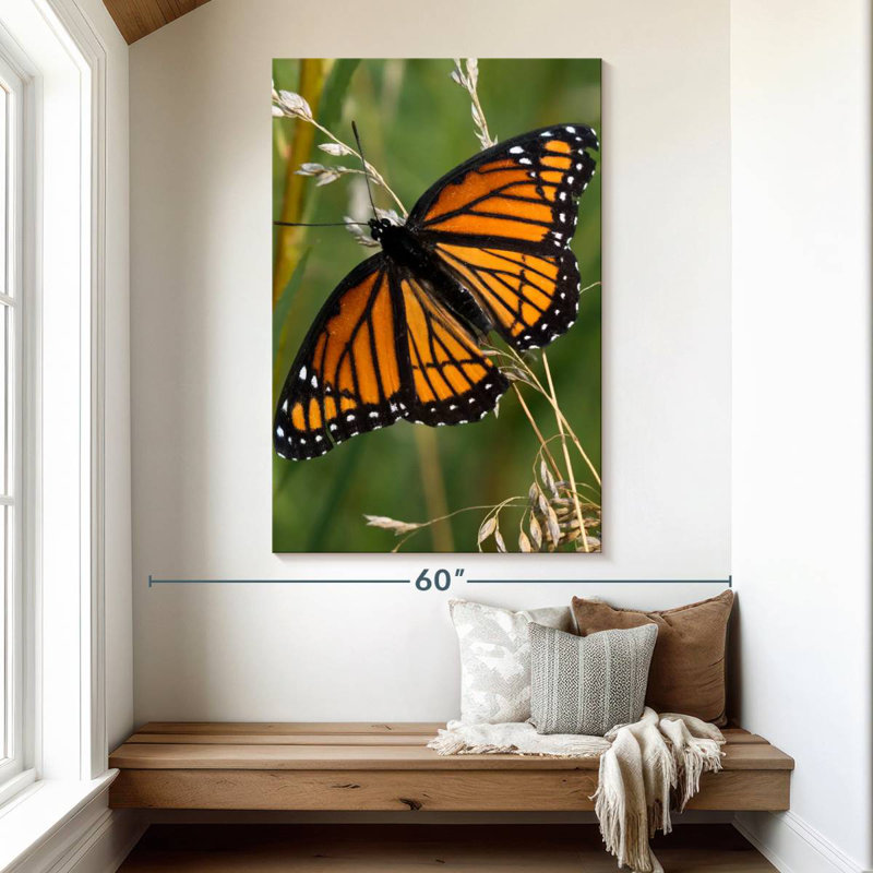 Brampt Monarch Butterfly Up Close, 51" H x 34" W
