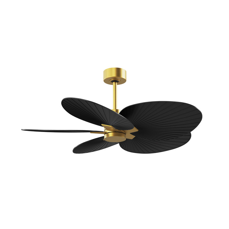 Alessandra - Five Blade Ceiling Fan, Matte Black, Brushed Brass